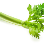 shutterstock_174614678